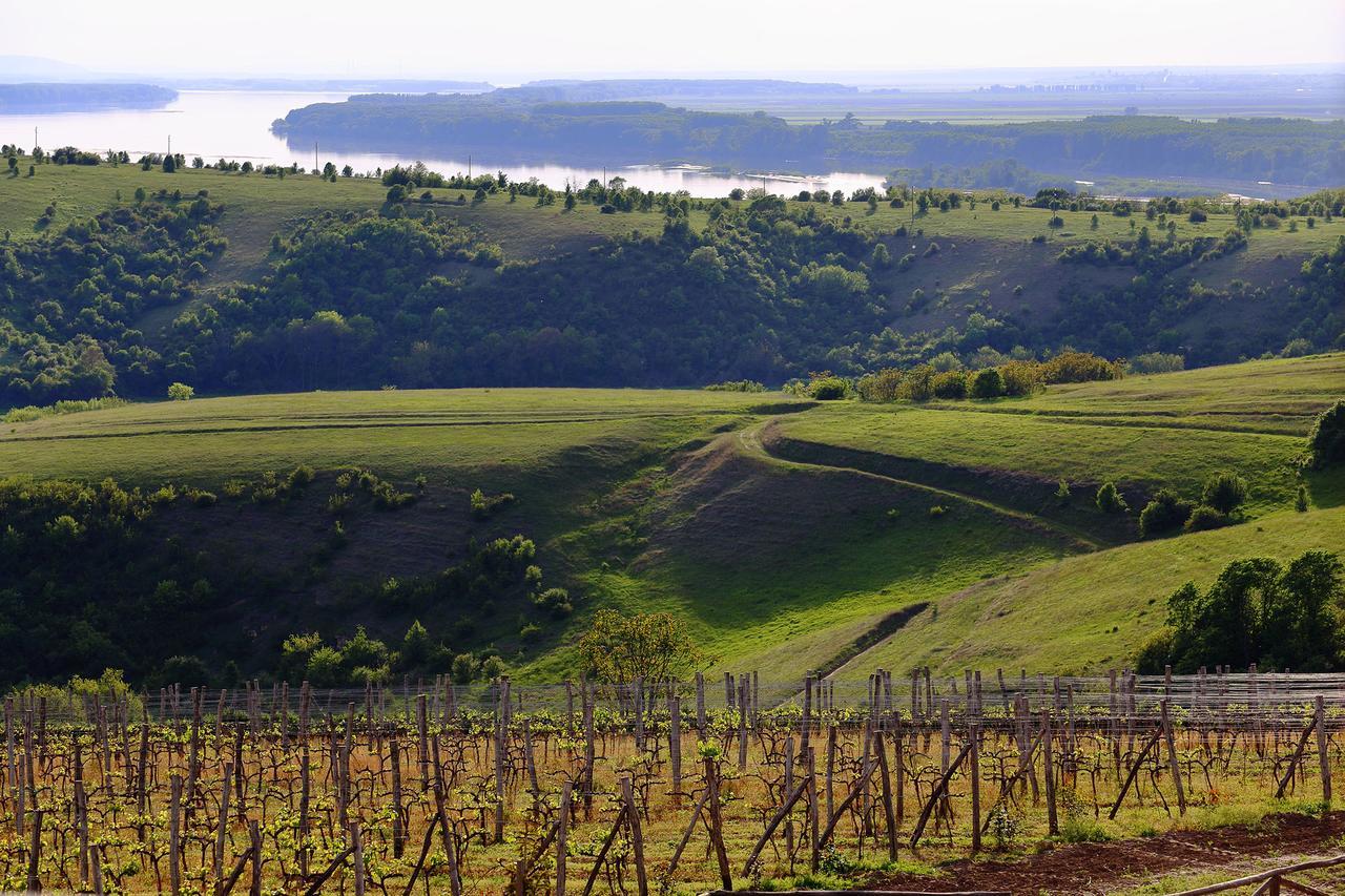 Seven Generations Winery Hotel Mechka Экстерьер фото
