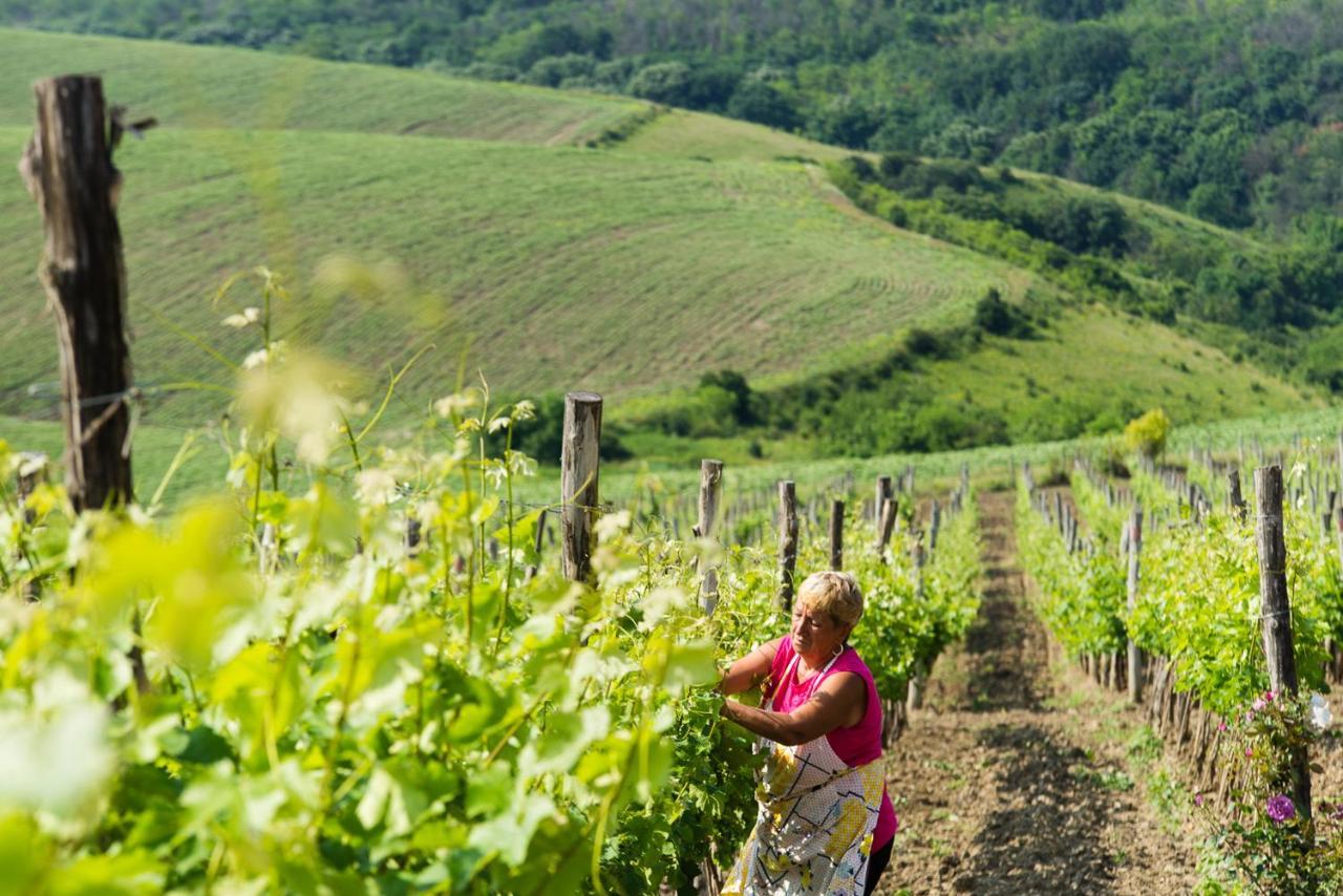 Seven Generations Winery Hotel Mechka Экстерьер фото